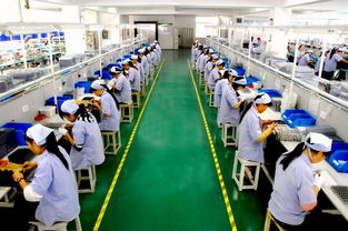 權(quán)威Lowe's驗(yàn)廠咨詢機(jī)構(gòu) 選豐信驗(yàn)廠咨詢更專業(yè)